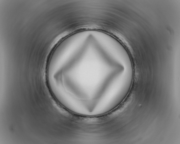 X0000113880845200910151311