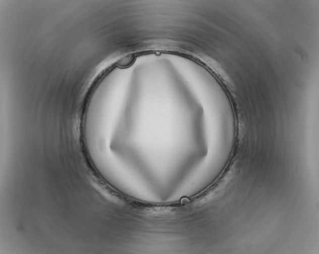 X0000113880846200910151311