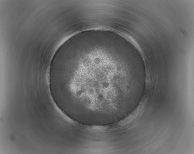 X0000113880847200910151311