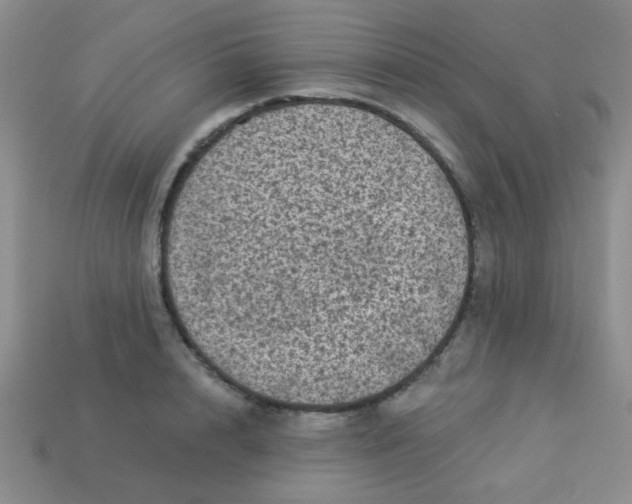 X0000113880848200910151311