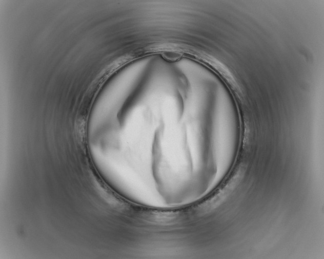 X0000113880849200910151311