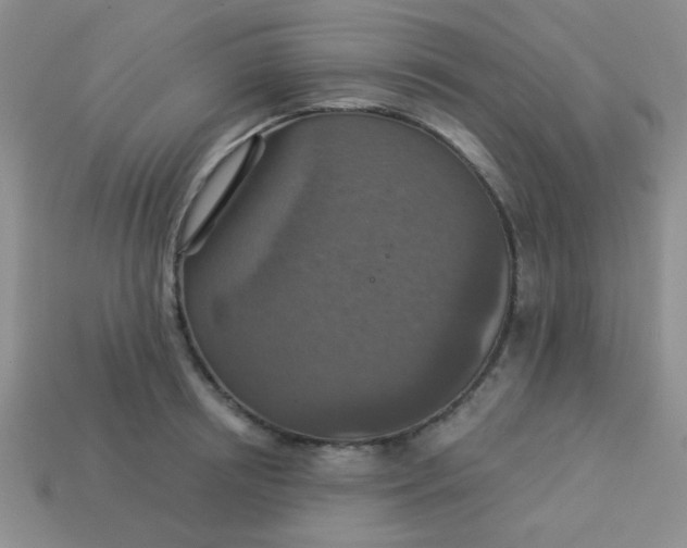 X0000113880850200910151311