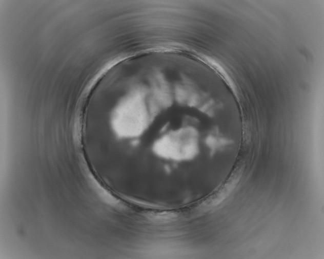 X0000113880851200910151311