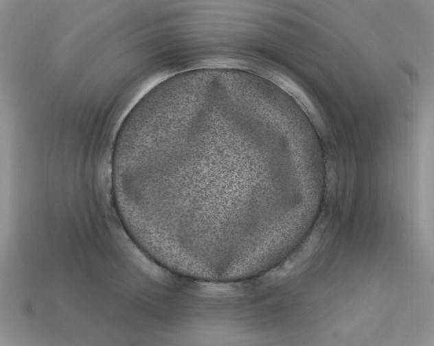 X0000113880852200910151311