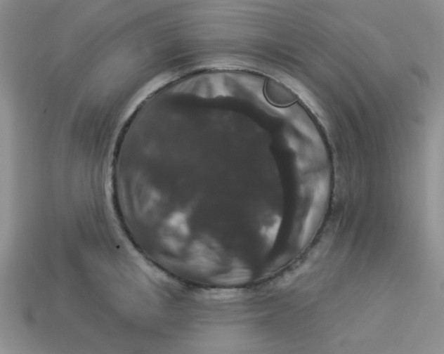 X0000113880853200910151311