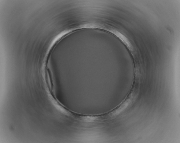 X0000113880854200910151312