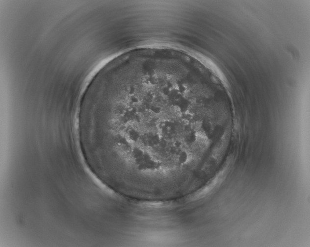 X0000113880855200910151312