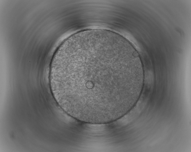 X0000113880856200910151312