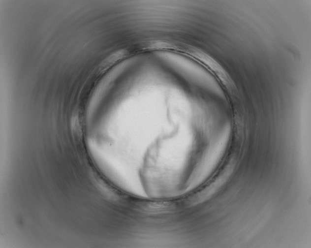 X0000113880857200910151312