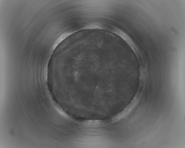 X0000113880858200910151312