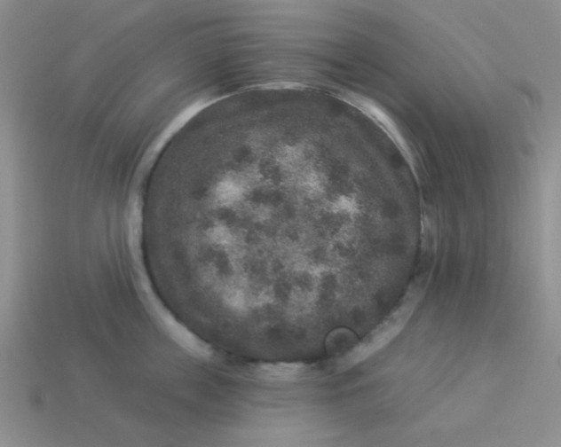 X0000113880859200910151312