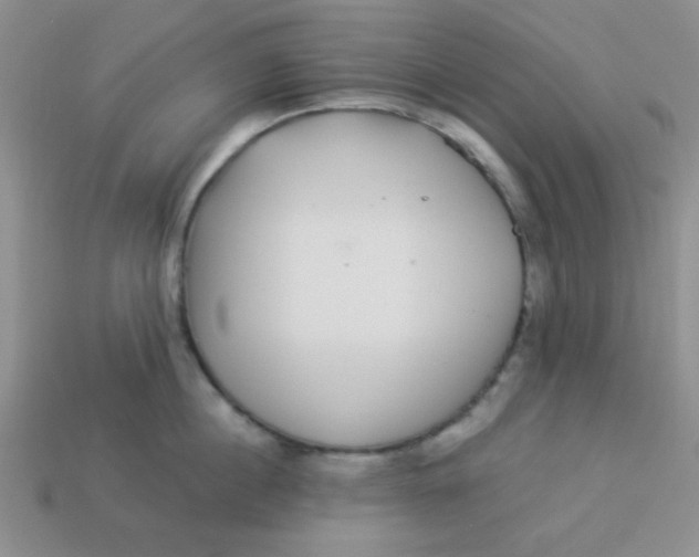 X0000113880860200910151312