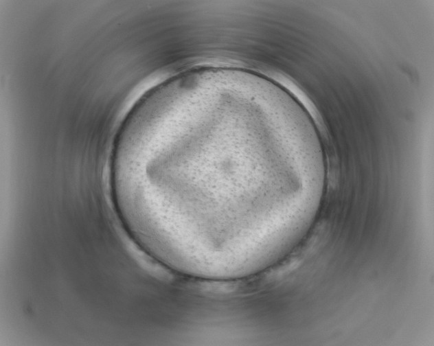 X0000113880861200910151312