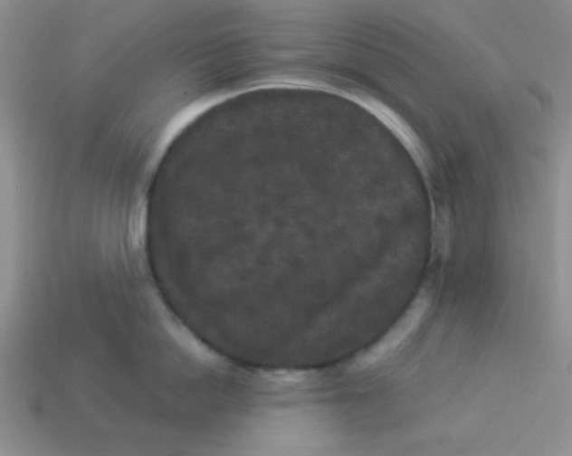 X0000113880862200910151312