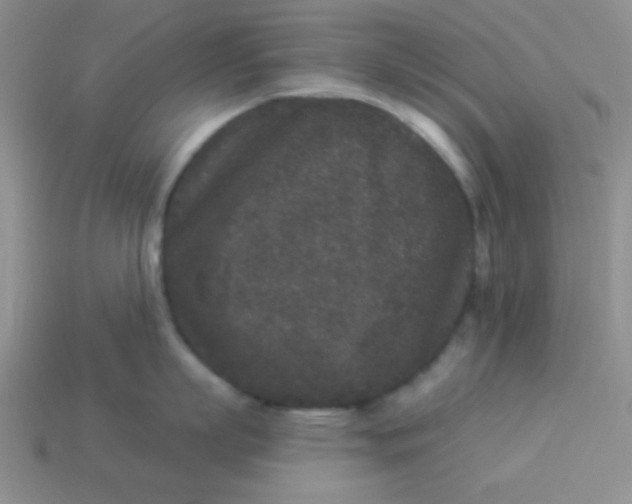 X0000113880863200910151312