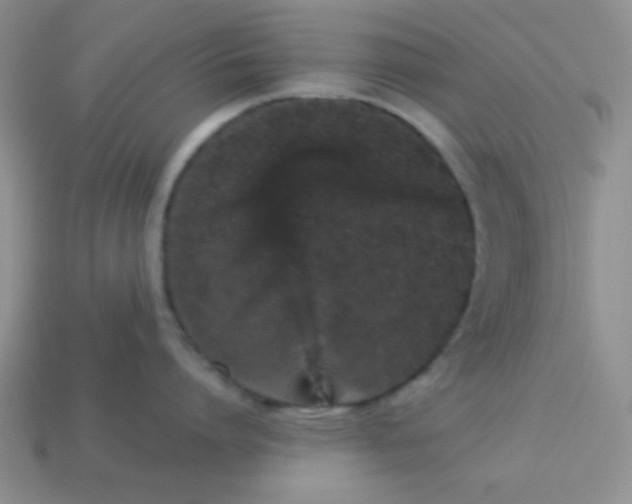 X0000113880864200910151312