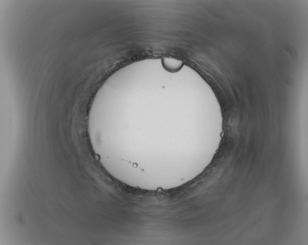 X0000113880865200910151311