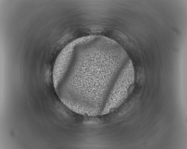 X0000113880866200910151311