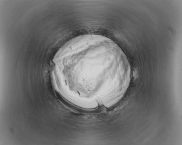 X0000113880867200910151311