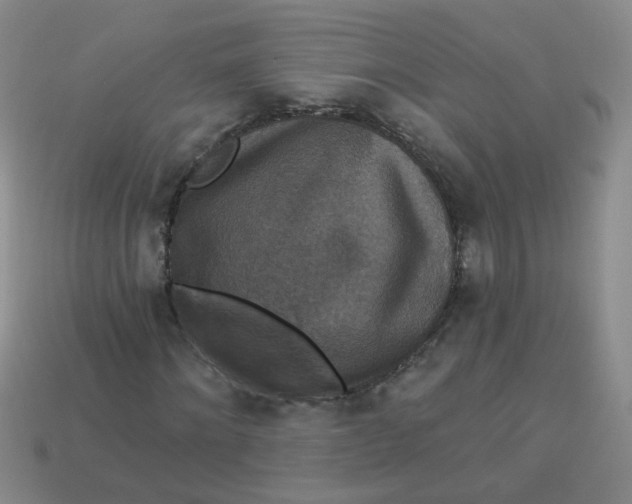 X0000113880868200910151311