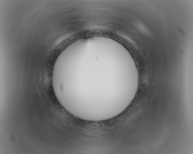 X0000113880869200910151311