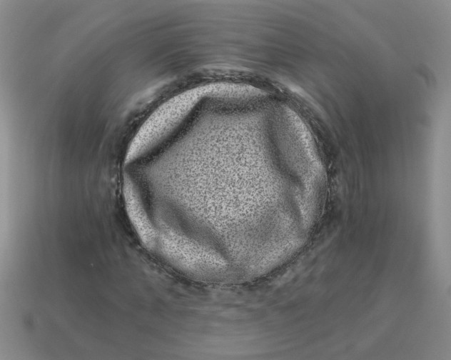 X0000113880870200910151311