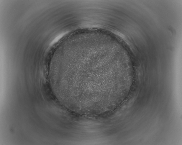 X0000113880871200910151311