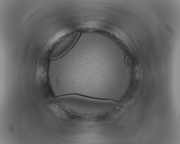 X0000113880872200910151311