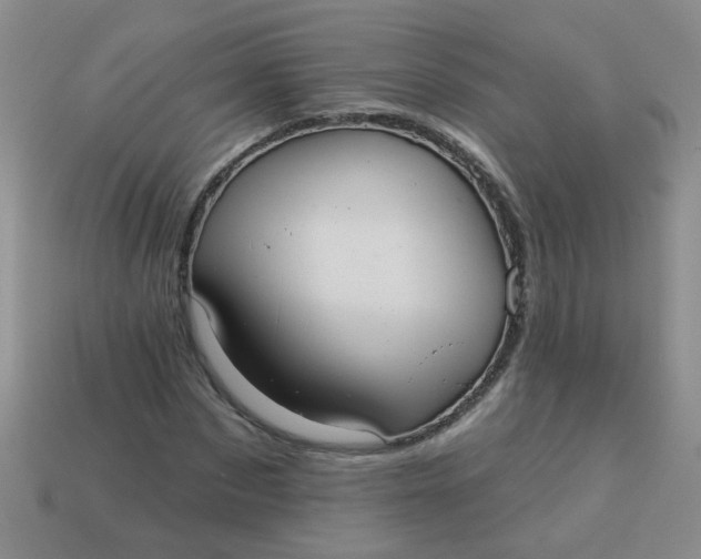 X0000113880873200910151311