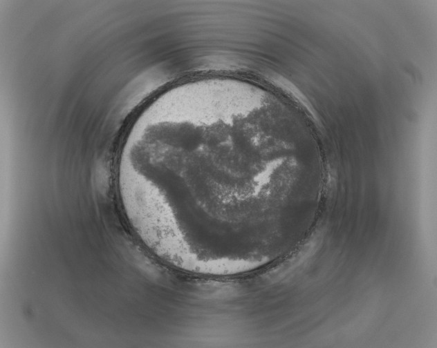 X0000113880874200910151311