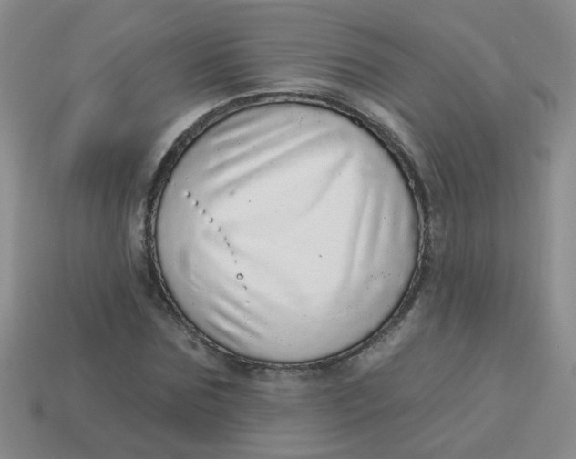 X0000113880875200910151311