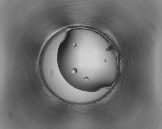 X0000113880876200910151311