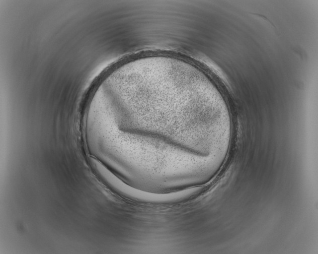 X0000113880878200910151311