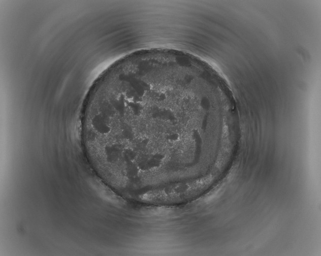 X0000113880879200910151311