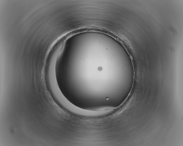 X0000113880880200910151311