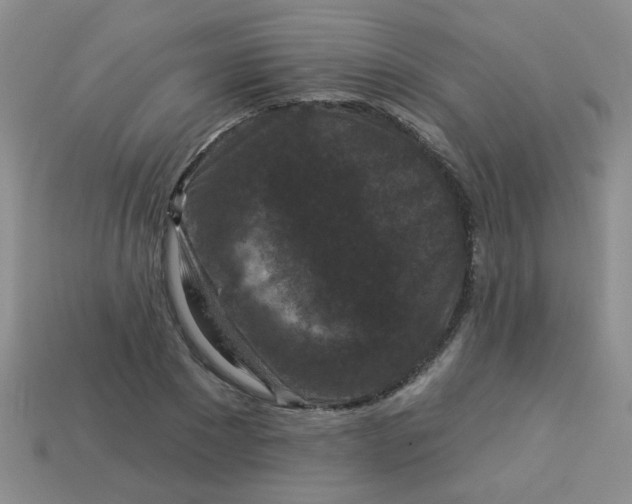 X0000113880881200910151311