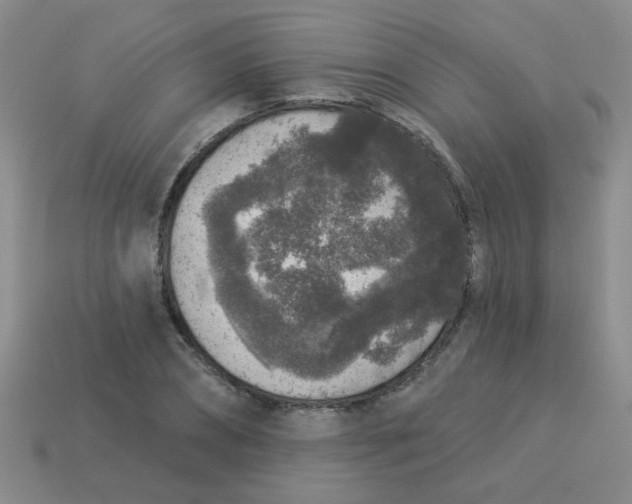 X0000113880882200910151311