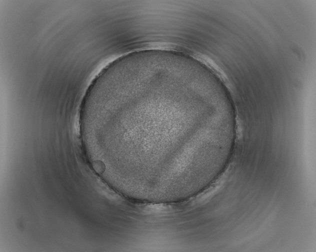 X0000113880883200910151311