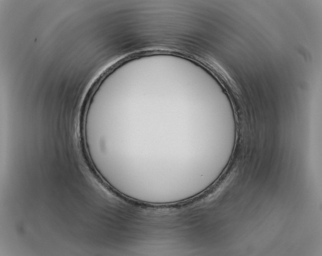 X0000113880884200910151311