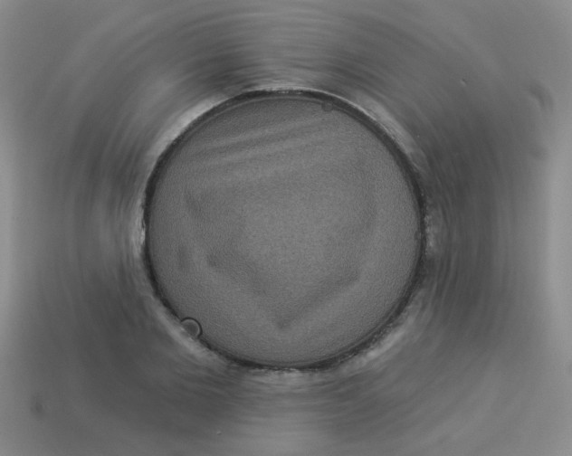 X0000113880885200910151311