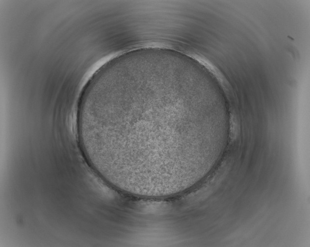 X0000113880886200910151311