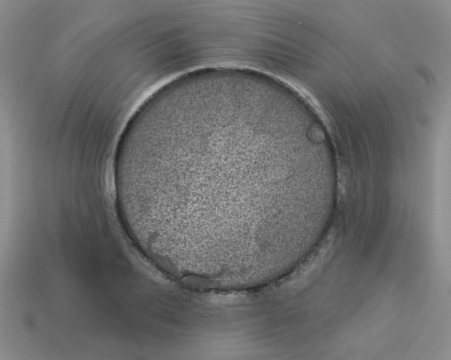 X0000113880887200910151311