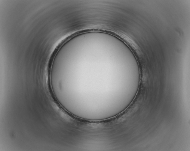 X0000113880888200910151311