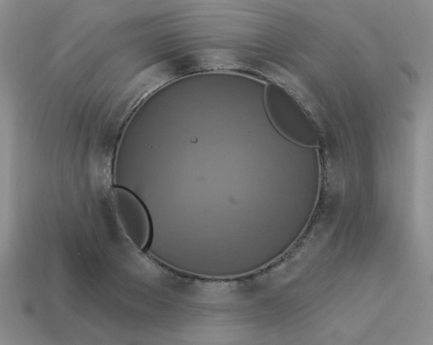 X0000113880889200910151311