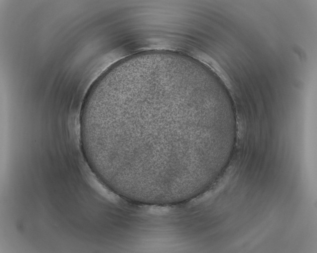 X0000113880890200910151311