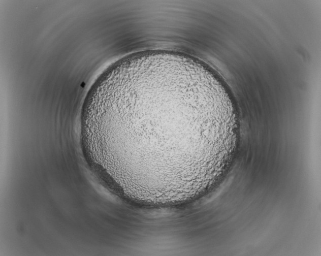 X0000113880891200910151311