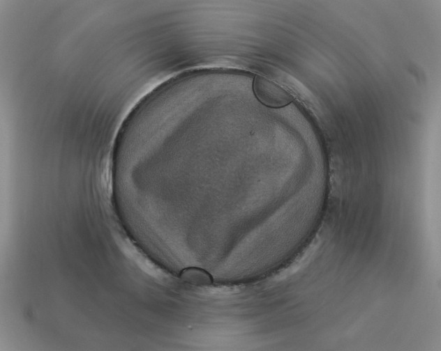 X0000113880892200910151311