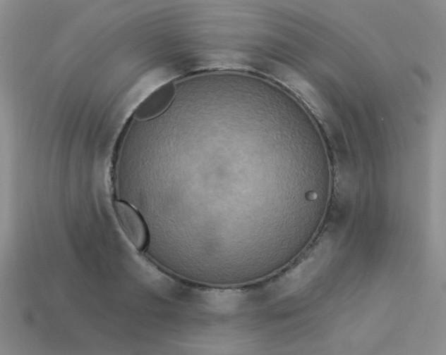 X0000113880893200910151311