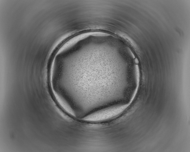 X0000113880894200910151311