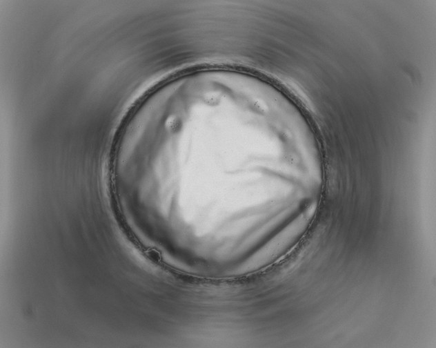 X0000113880895200910151311